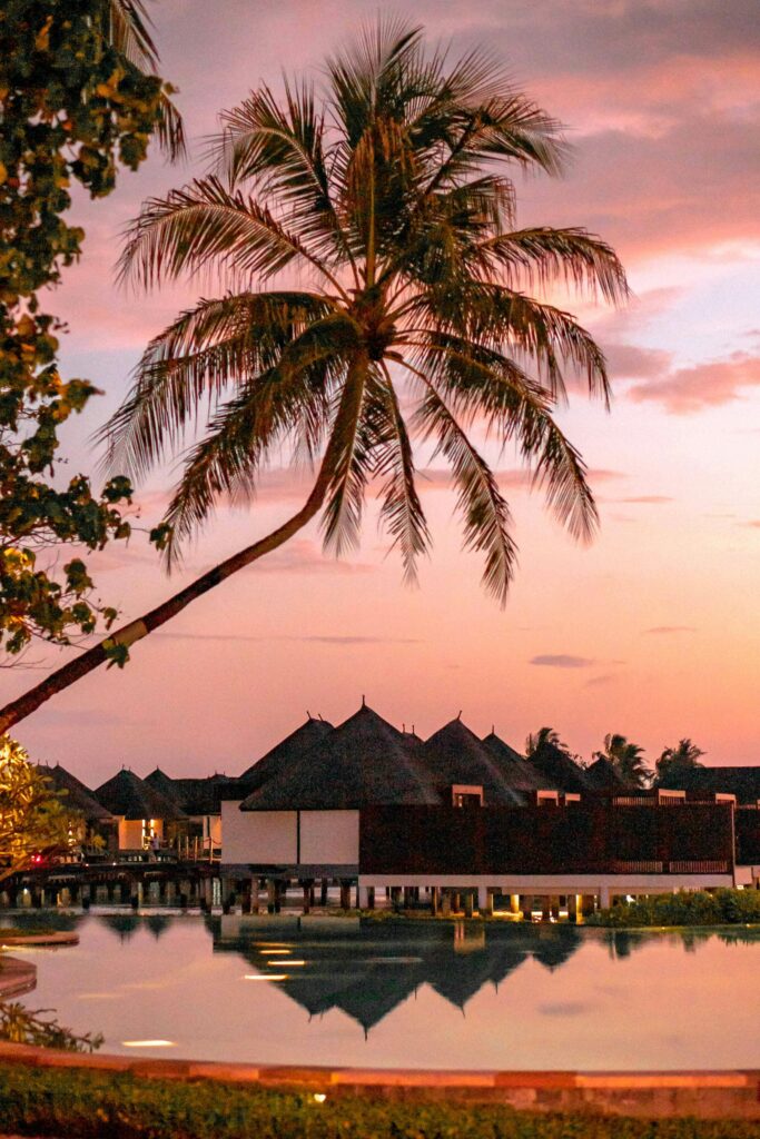 Beautiful sunset view of overwater bungalows with palm trees in a tropical paradise.