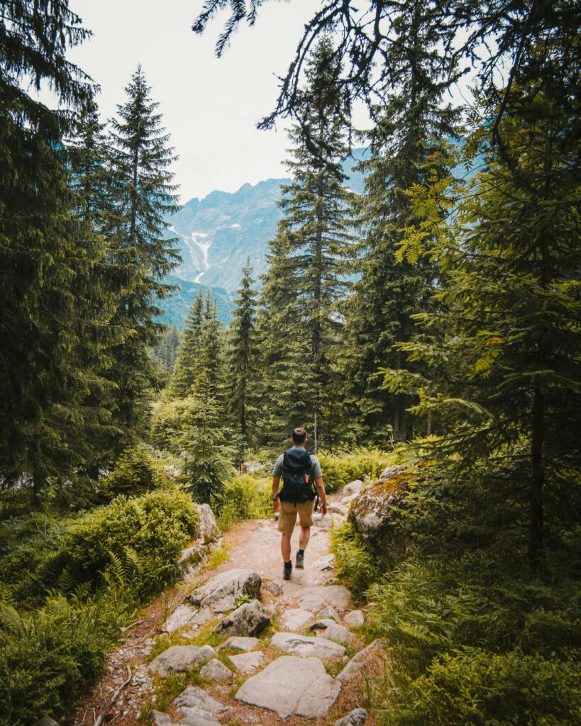 Man hiking on a forest trail in Tatra Mountains, Poland, surrounded by lush greenery.